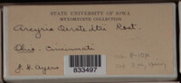 Image Associated With the Occurence